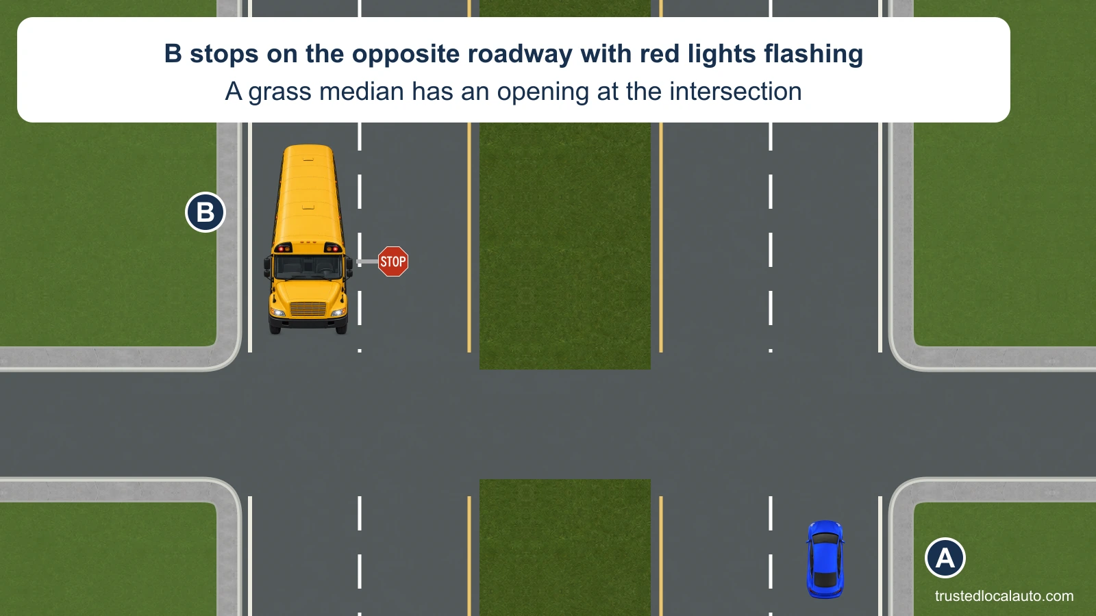 A approaches on a divided highway with two lanes each way. A grass median separates the roadways except for an intersection opening. Bus B stops on the other roadway.