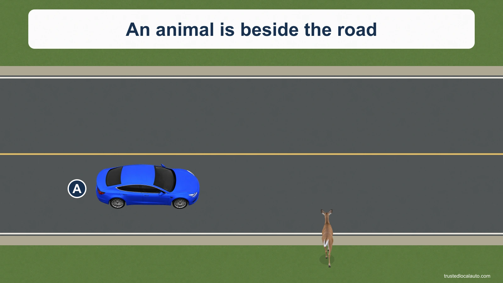 Car A approaches an animal standing beside the roadway.