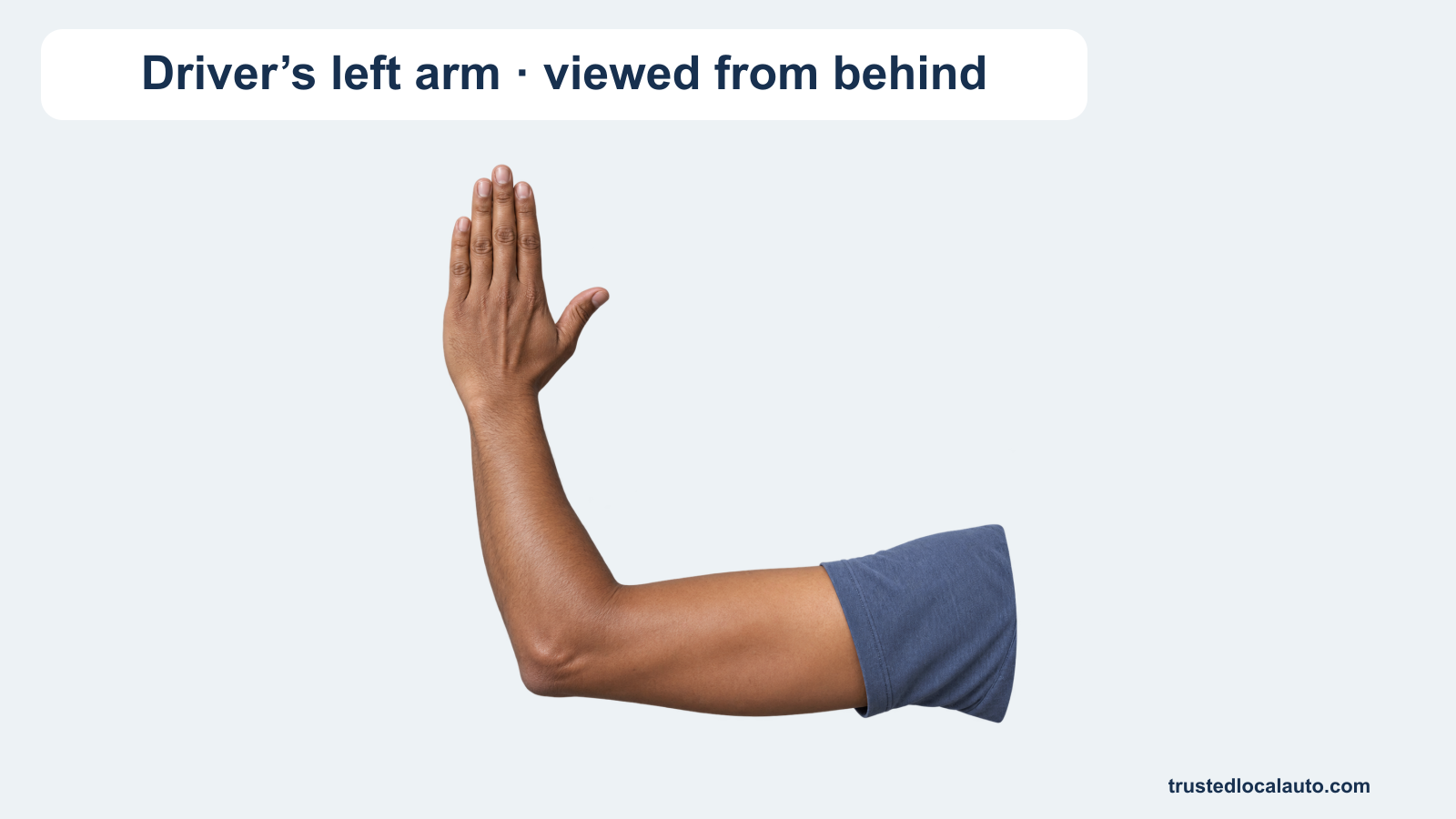 A driver's left arm is extended with the forearm pointing upward, viewed from behind.