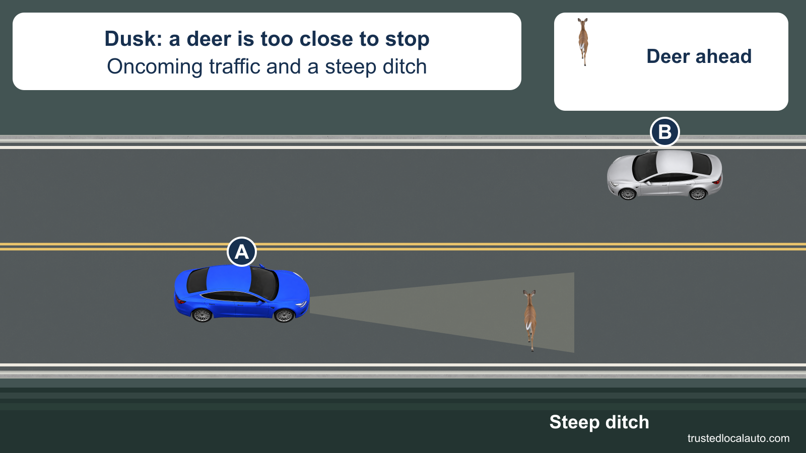 At dusk, a deer has entered A’s lane. An oncoming car occupies the other lane, and a steep ditch borders the road on A’s right.
