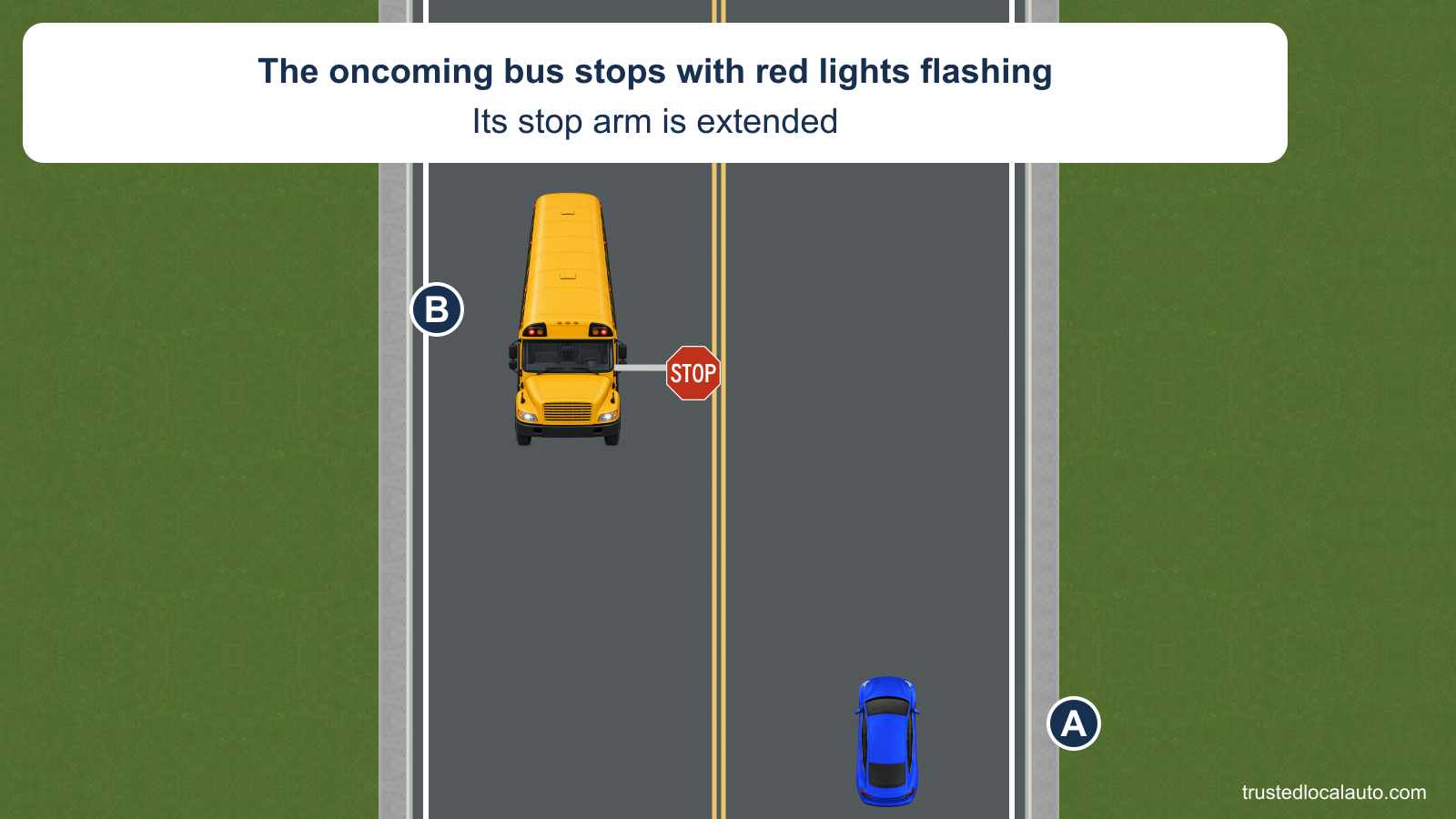 Blue A approaches north on a two-lane road as yellow school bus B stops southbound in the opposite lane. B’s red lamps are on and its official STOP arm is extended. A is still approaching, with no stop marker or distance label.