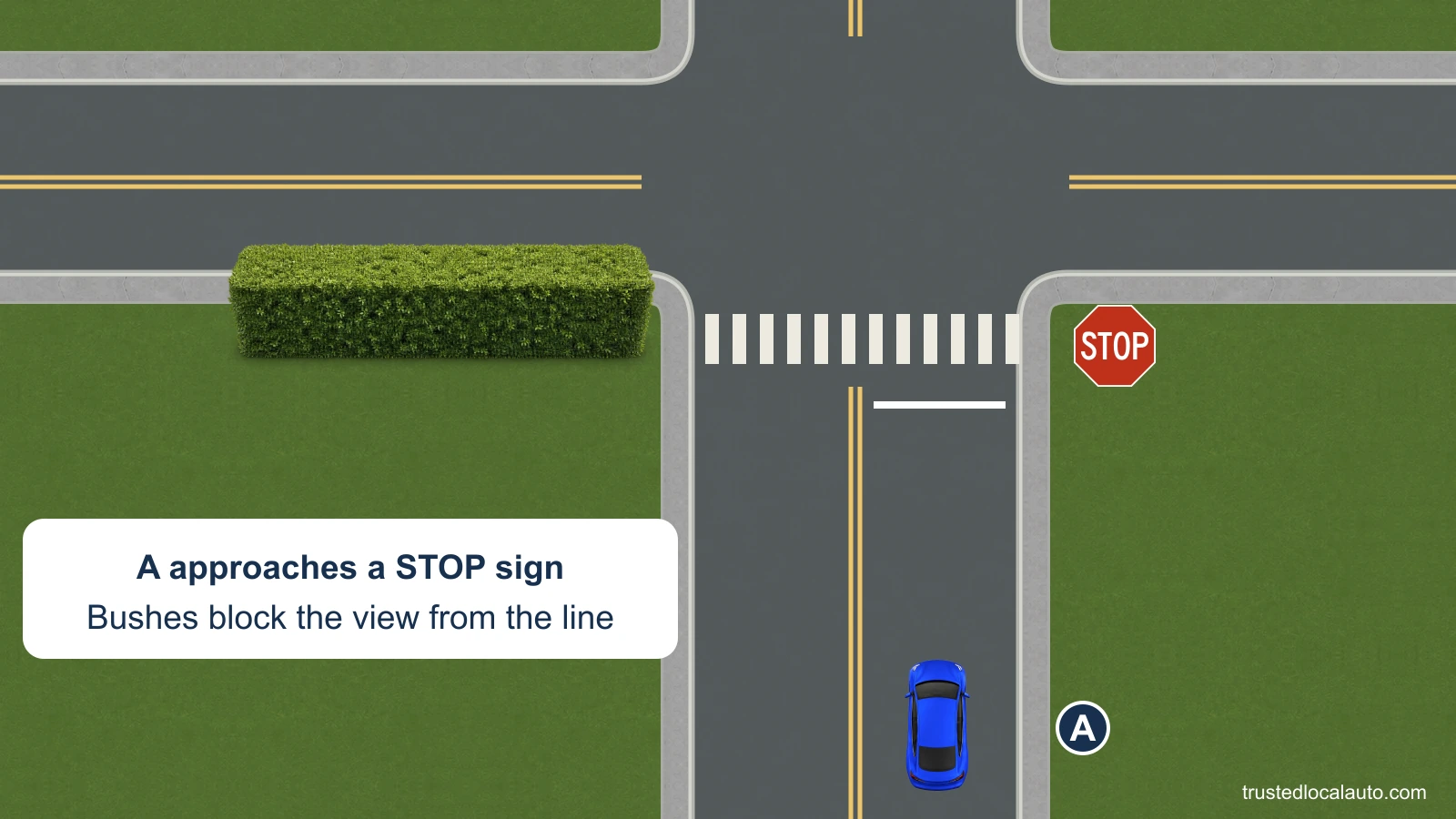 A approaches a STOP sign in the northbound lane. A is well behind a white stop line, which is before a marked crosswalk and the corner. A dense hedge at the left corner blocks the view from the line. No stopping position or route is marked.