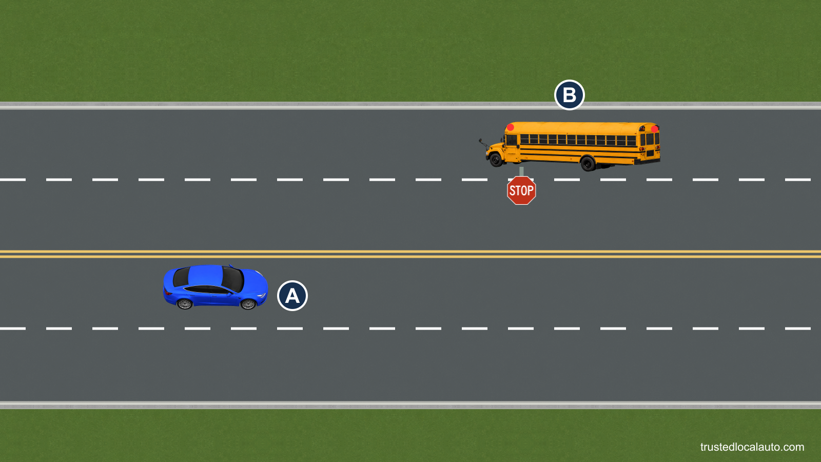 A approaches a stopped oncoming school bus B on a four-lane road with two lanes each way. Only painted lines divide the directions, and the bus has flashing red lights and an extended stop arm.