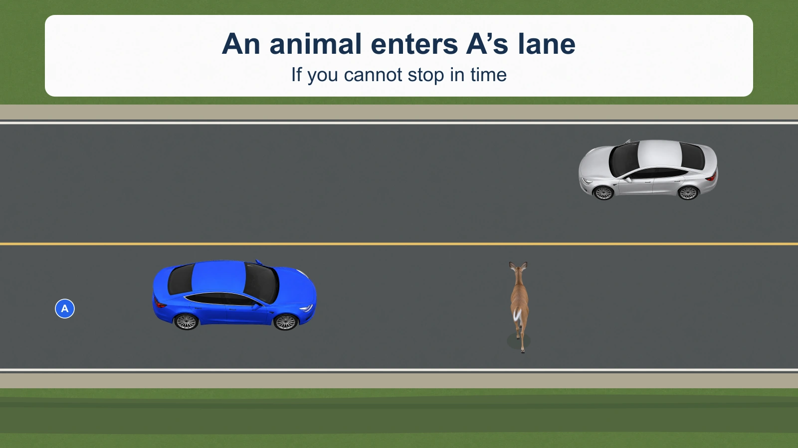 A deer has entered the lane ahead of blue car A on a rural two-way road. A silver car approaches in the opposite lane, and a ditch is beside A’s lane. No collision is shown.