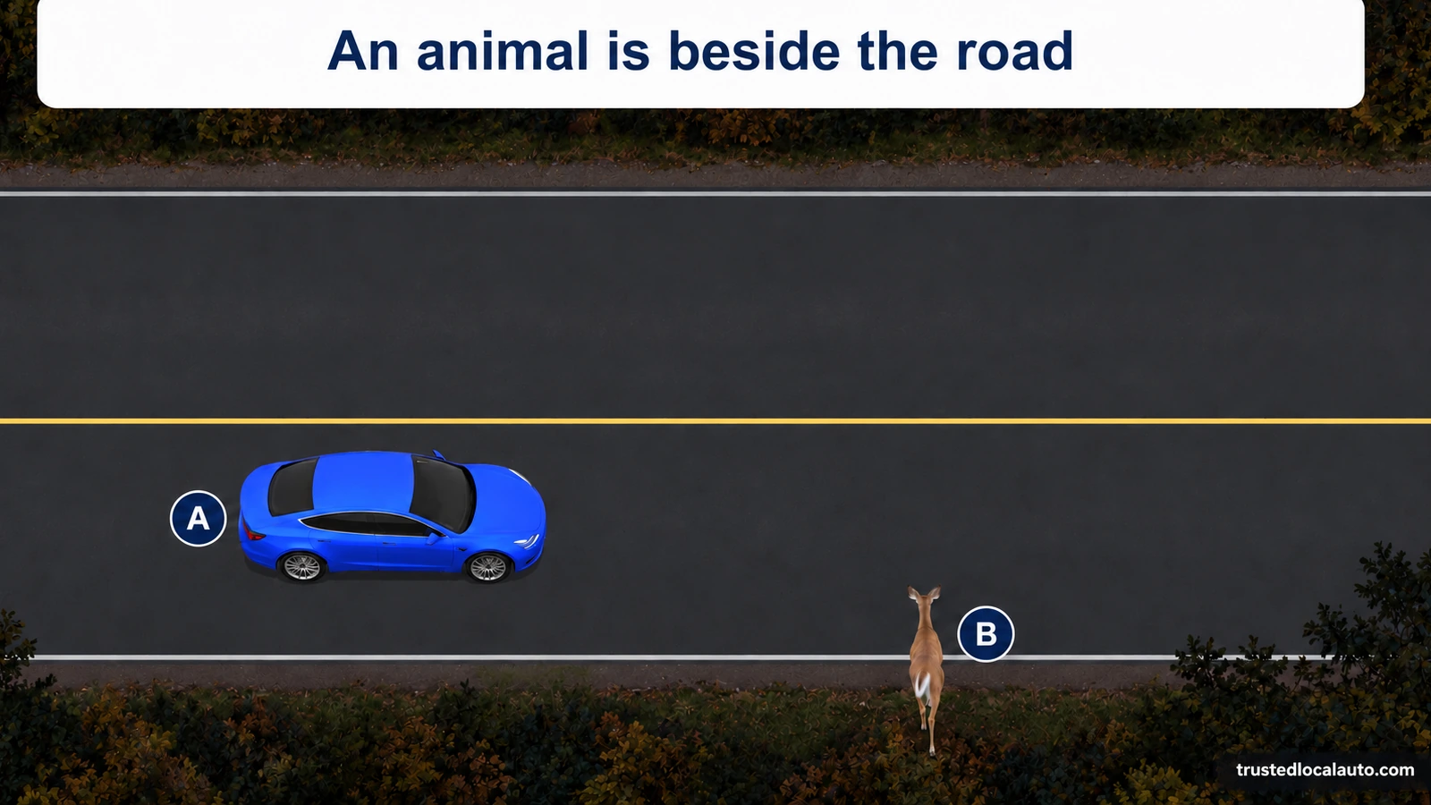 A approaches a deer beside a wooded road at dusk. The question has no gaze arrows or speed instruction.
