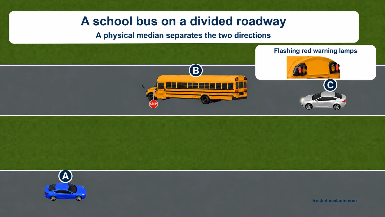A stopped bus B faces left on the upper roadway and silver C faces left behind it. Blue learner A faces right on the opposite roadway, across a broad grass median. A lamp detail shows the bus lights; no response route or median number appears.