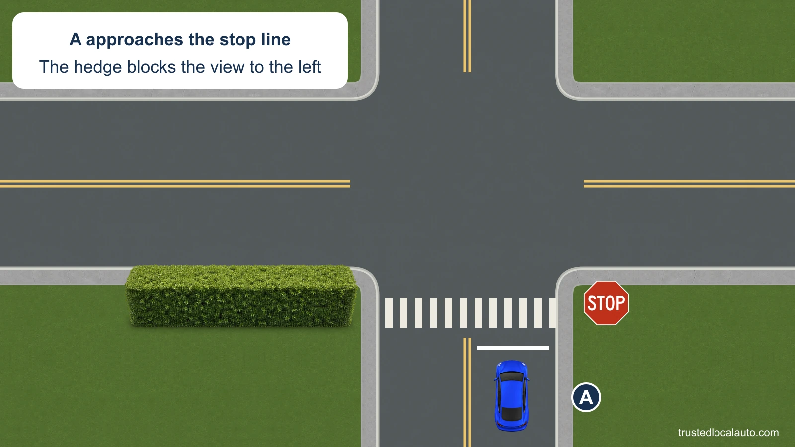 A approaches a northbound STOP sign. A white stop line is before the marked crosswalk. A tall hedge stands at the left corner and blocks the view along the cross street.