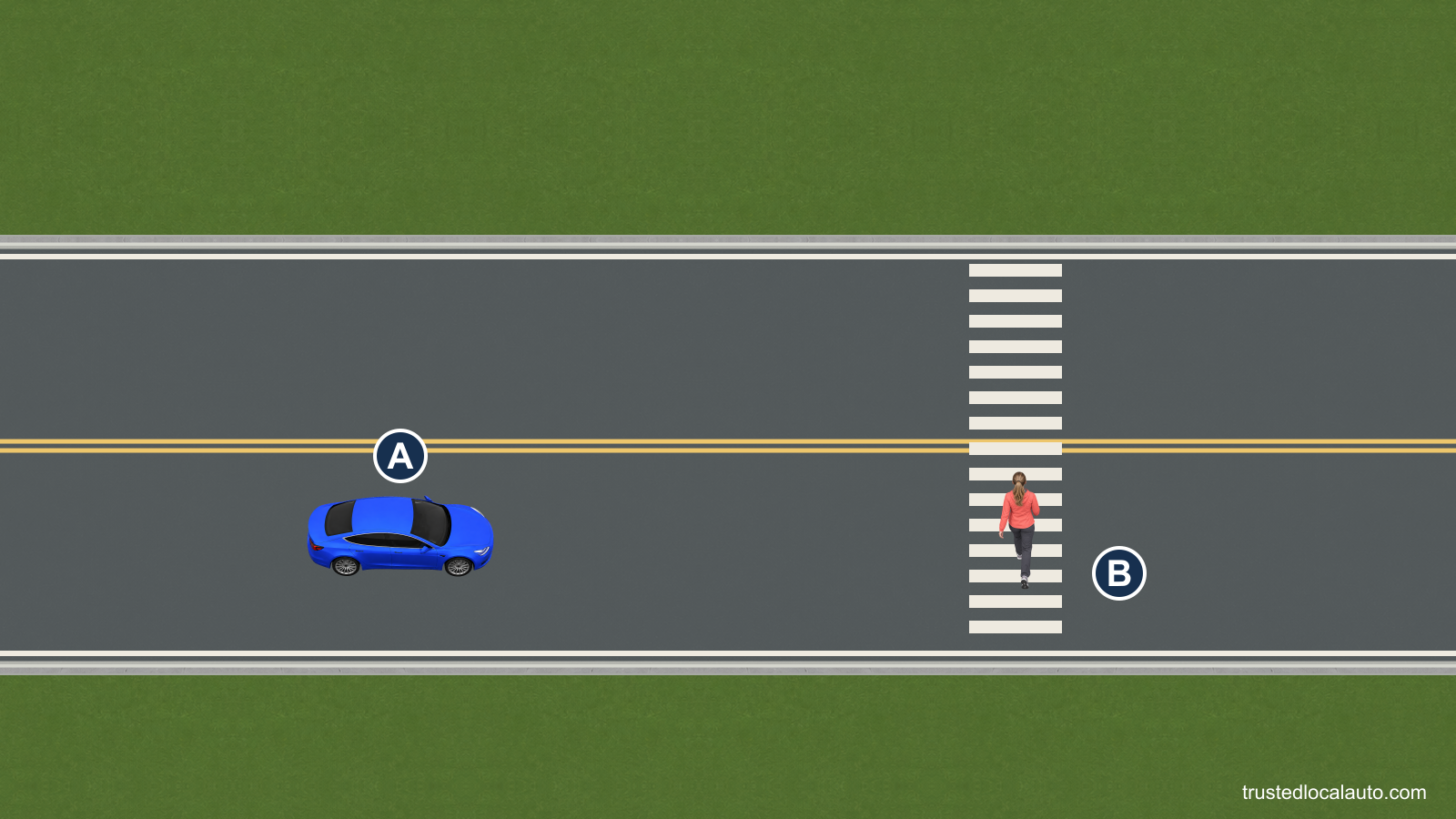 A approaches a marked crosswalk without signals. A pedestrian is crossing the half of the road used by A.