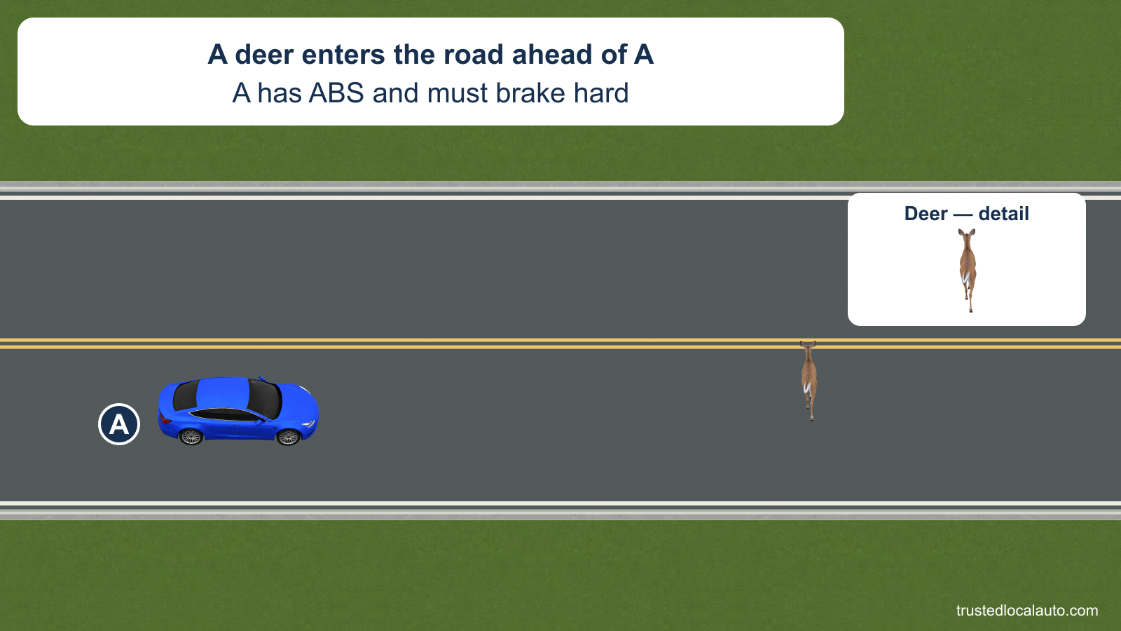 A blue car approaches a deer in its lane. The car has ABS; no brake result or steering path is shown. An enlarged detail identifies the deer.