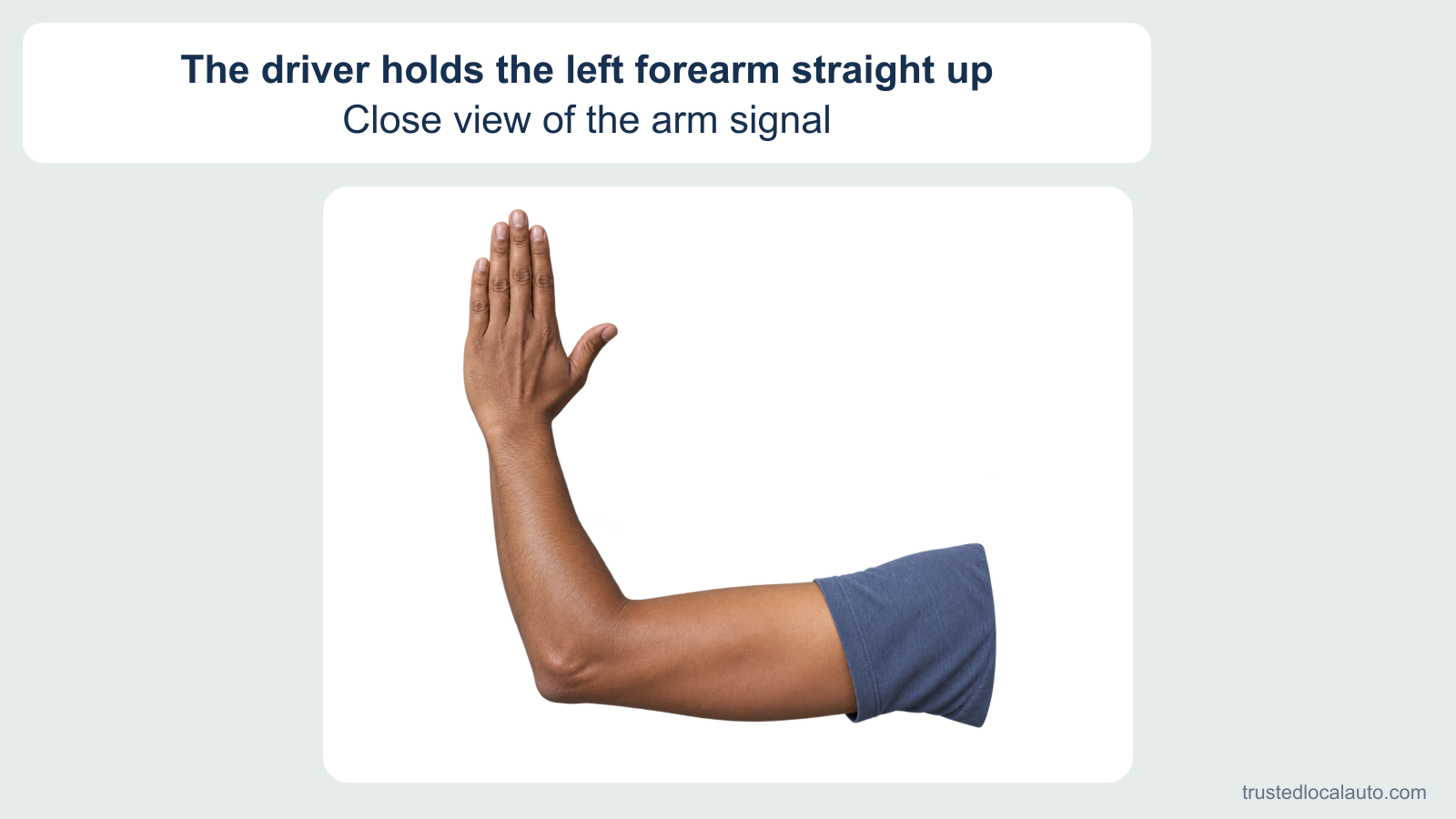 An enlarged detail shows a driver’s left upper arm extended sideways and the forearm bent straight upward, with the back of the hand visible.