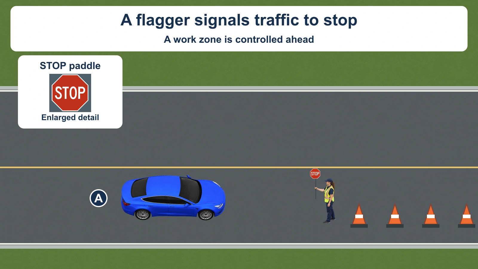 Blue car A approaches a work zone. A flagger in a yellow vest holds a red octagonal STOP paddle with white letters and a white border. Orange cones mark the work area. An inset enlarges the same STOP face. No response by A is highlighted.